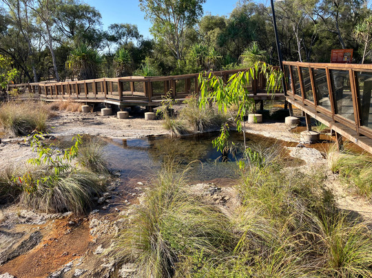 Talaroo Hot Springs-Mount Surprise必去景点