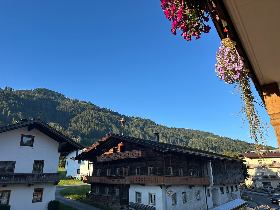 Hotel Simmerlwirt主图