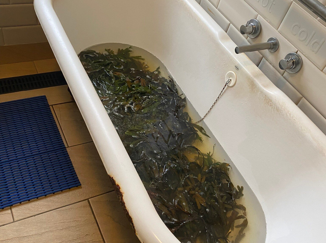Soak Seaweed Baths-纽卡斯尔必去景点