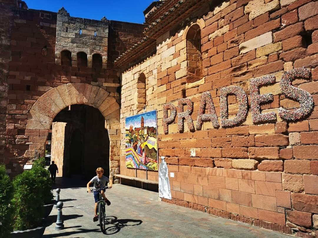 Plaza Mayor景点图片