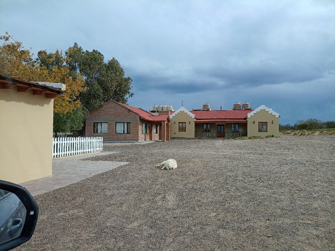 Estancia San Guillermo景点图片