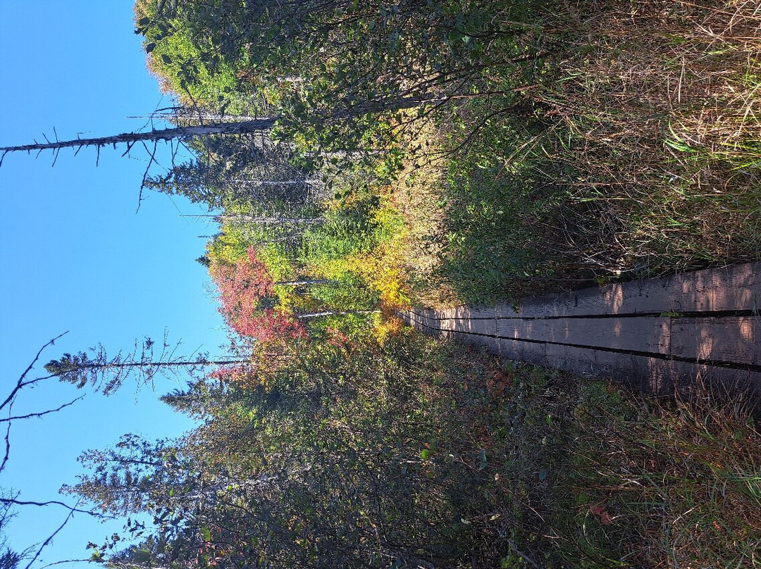 Parc national de la Mauricie景点图片