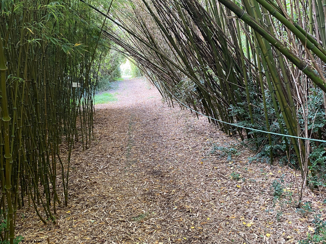 Glengarriff Bamboo Park-Glengarriff必去景点