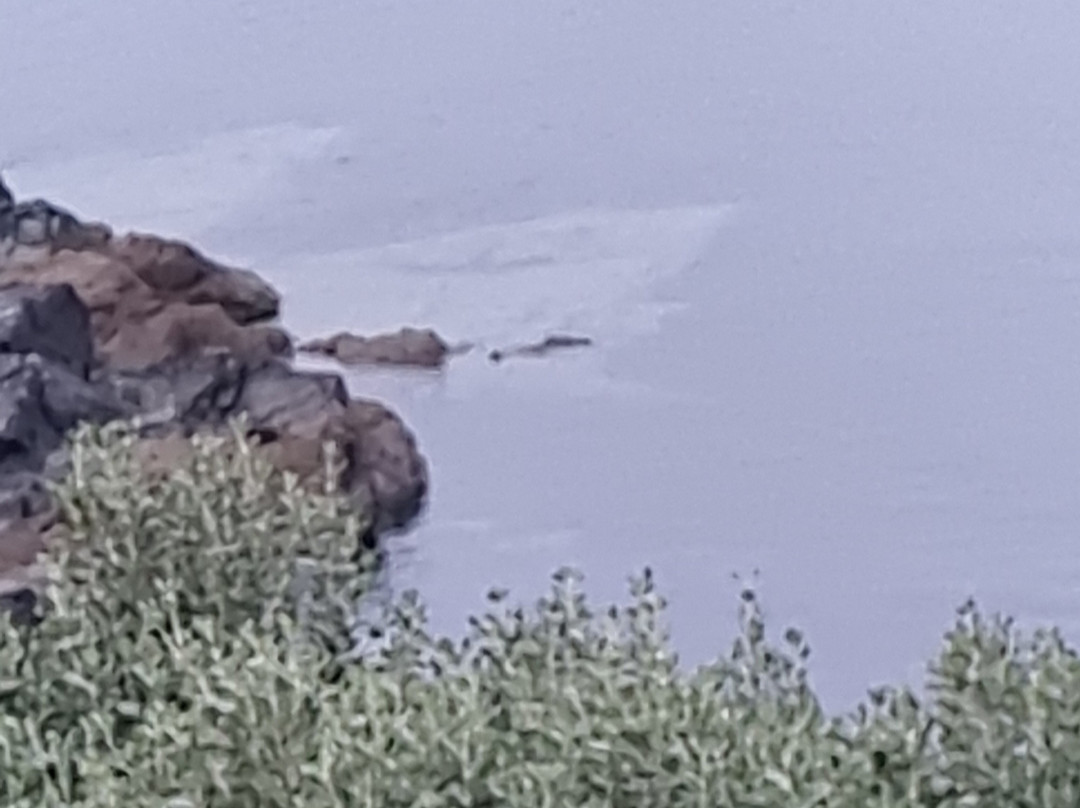 Horizon View Lodge B&B主图