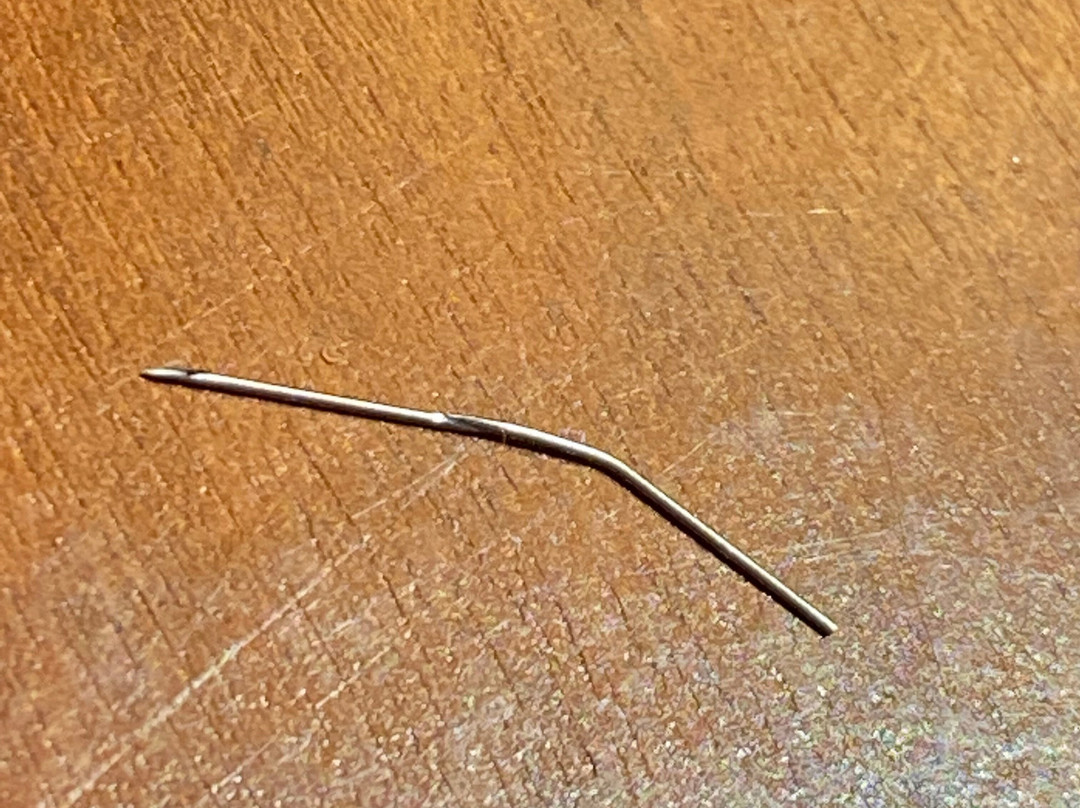 Comfort Inn & Suites Collingwood主图