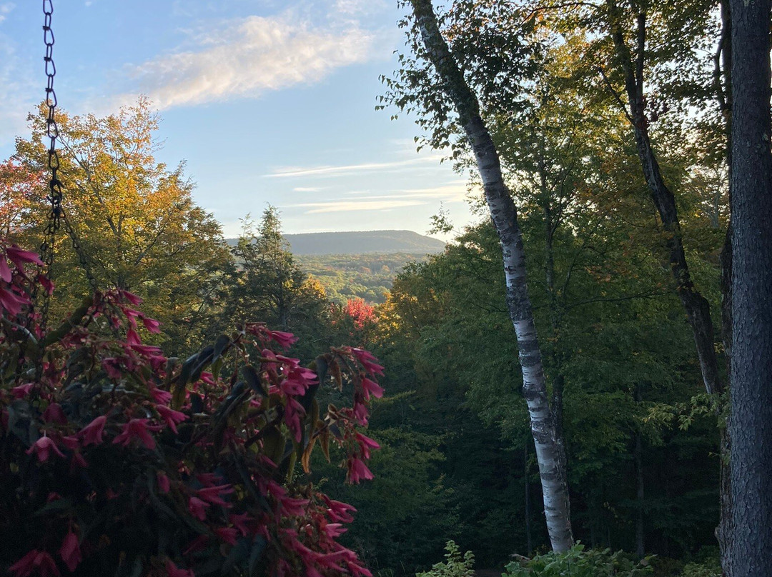 Rosehaven Inn Bed and Breakfast主图