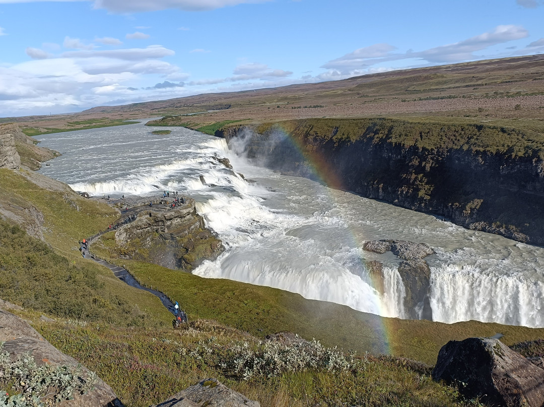 冰岛编织协会-雷克雅未克必去景点