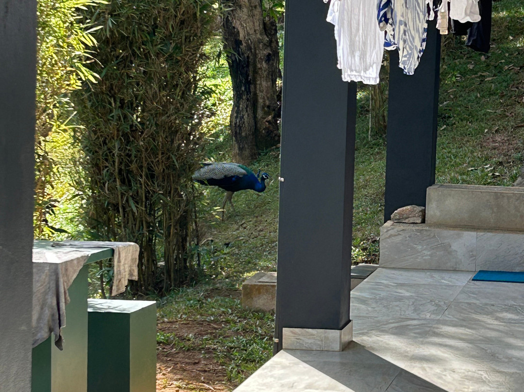 Grace Holiday Bungalow主图