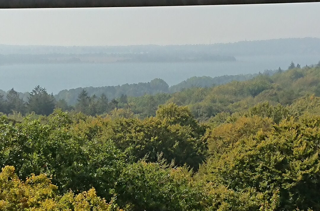 Aussichtplattform Adlerhorst - Baumwipfelpfad Rügen Naturerbezentrum Rügen景点图片