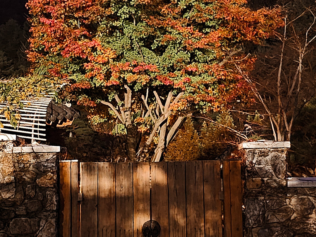 Hwadam Botanic Garden-光州市必去景点