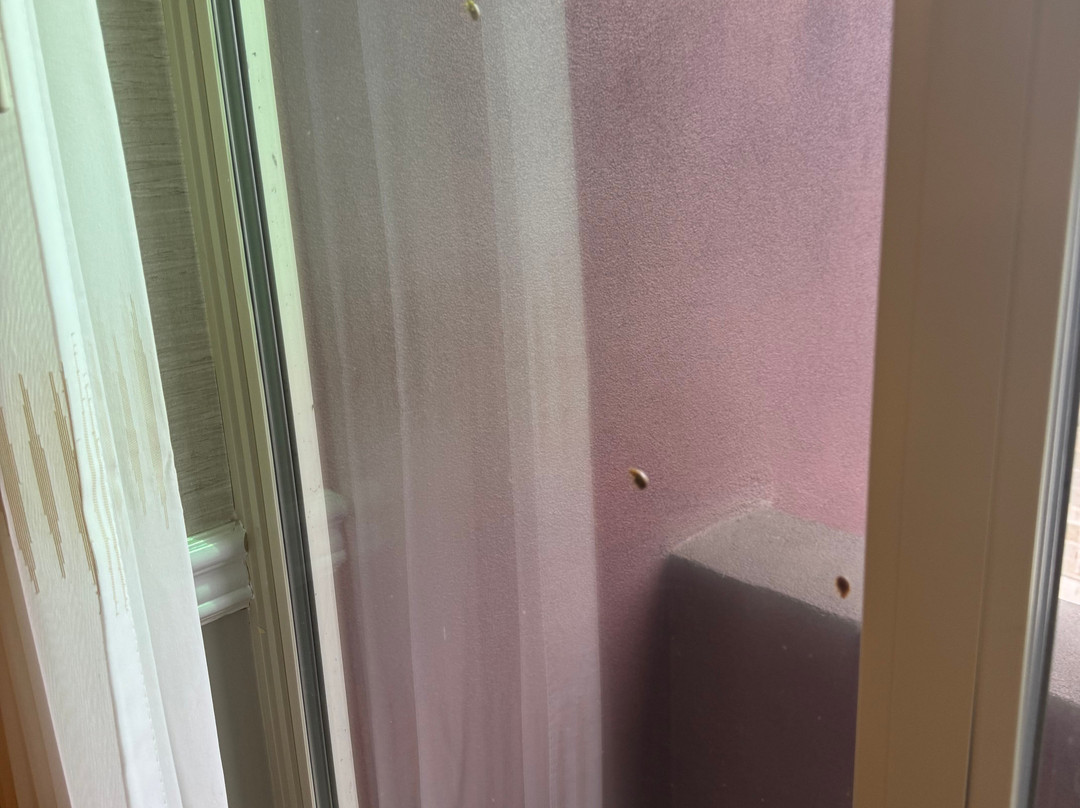 Ayres Hotel Seal Beach - Cypress主图