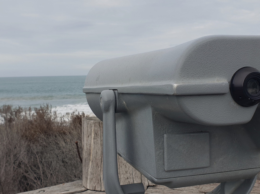 Basham Beach Conservation Park-Port Elliot必去景点