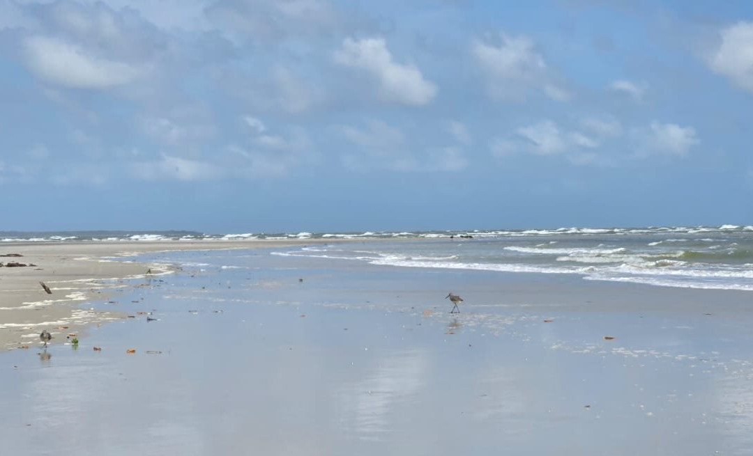 Praia do Crispim-Marapanim必去景点