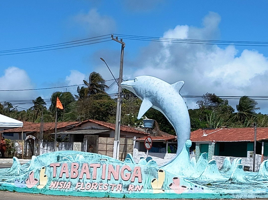 Praia de Barra de Tabatinga-Natal必去景点