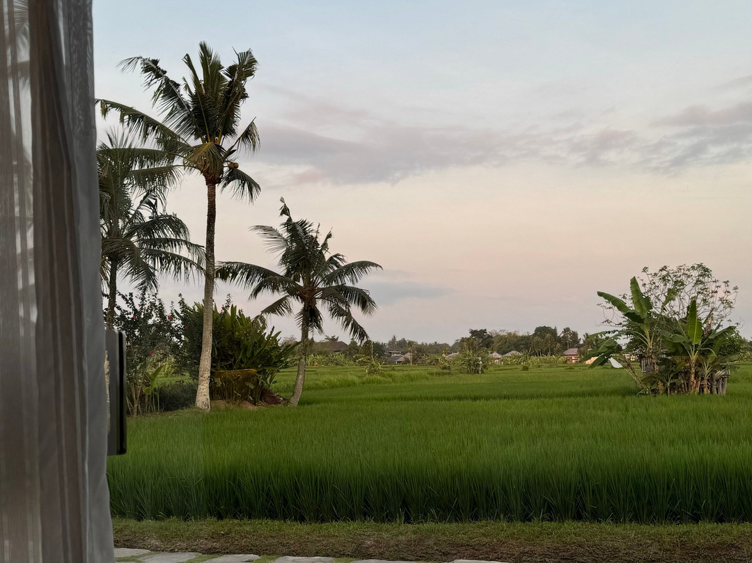 Gdas Bali Health And Wellness Resort主图