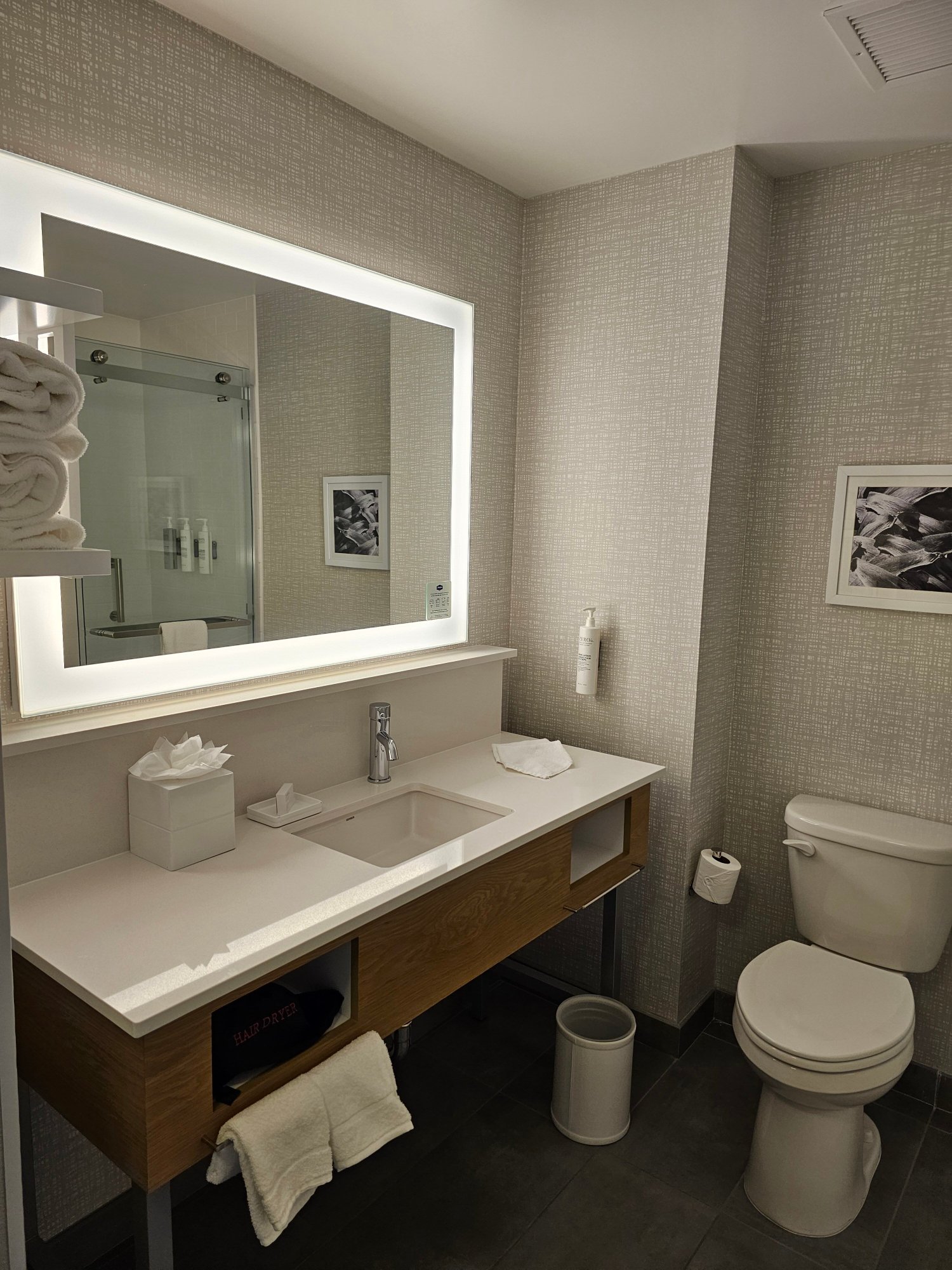 Hampton Inn & Suites San Mateo-San Francisco Airport-浴室