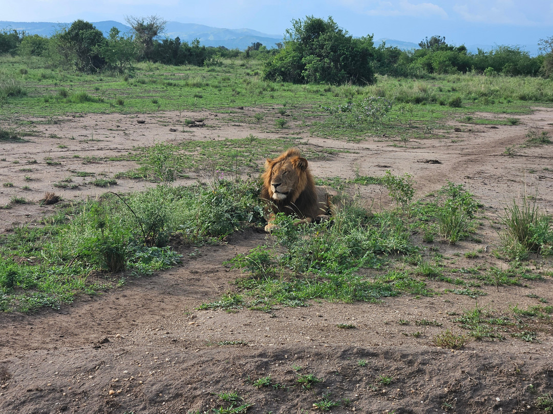 Kabaffulo Safaris-Katunguru必去景点