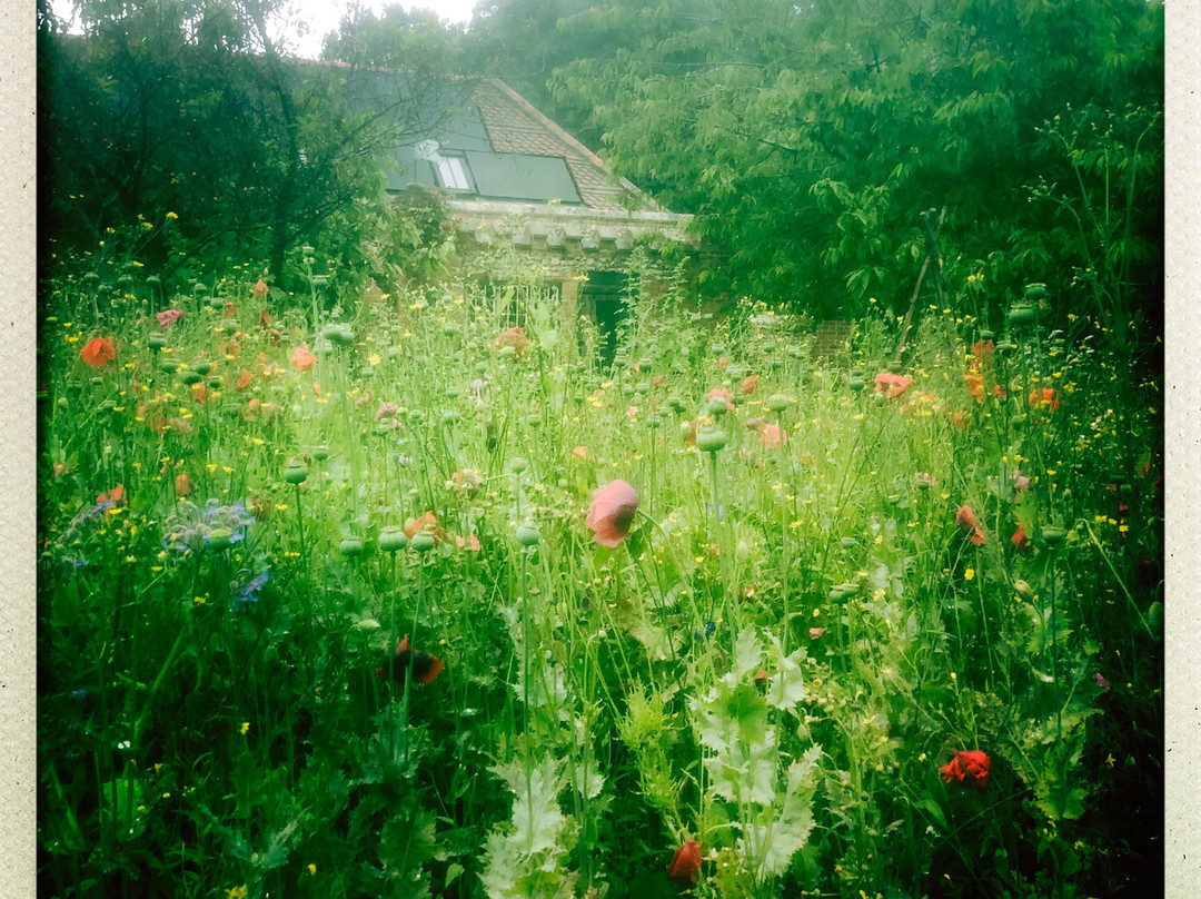 The Natural Health Sanctuary景点图片