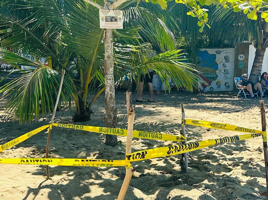 Rincon Waves Hydroflights-吕康必去景点