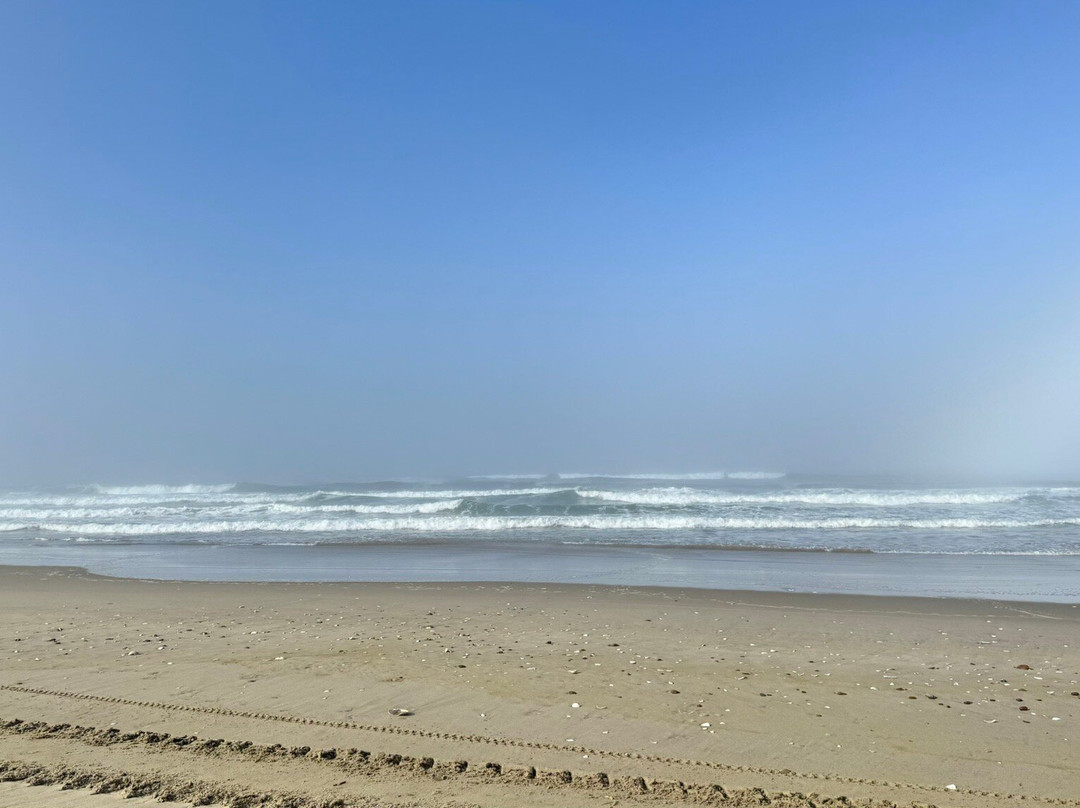 Ocean Breeze ATV Rentals-弗洛伦斯必去景点