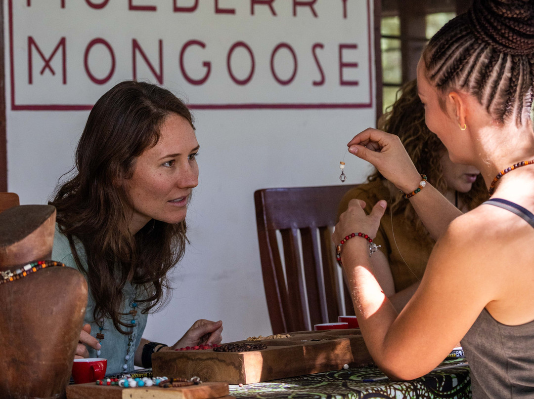 Mulberry Mongoose-南卢安瓜国家公园必去景点