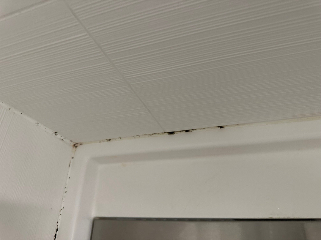 东艾尔文/森林湖希尔顿花园酒店主图