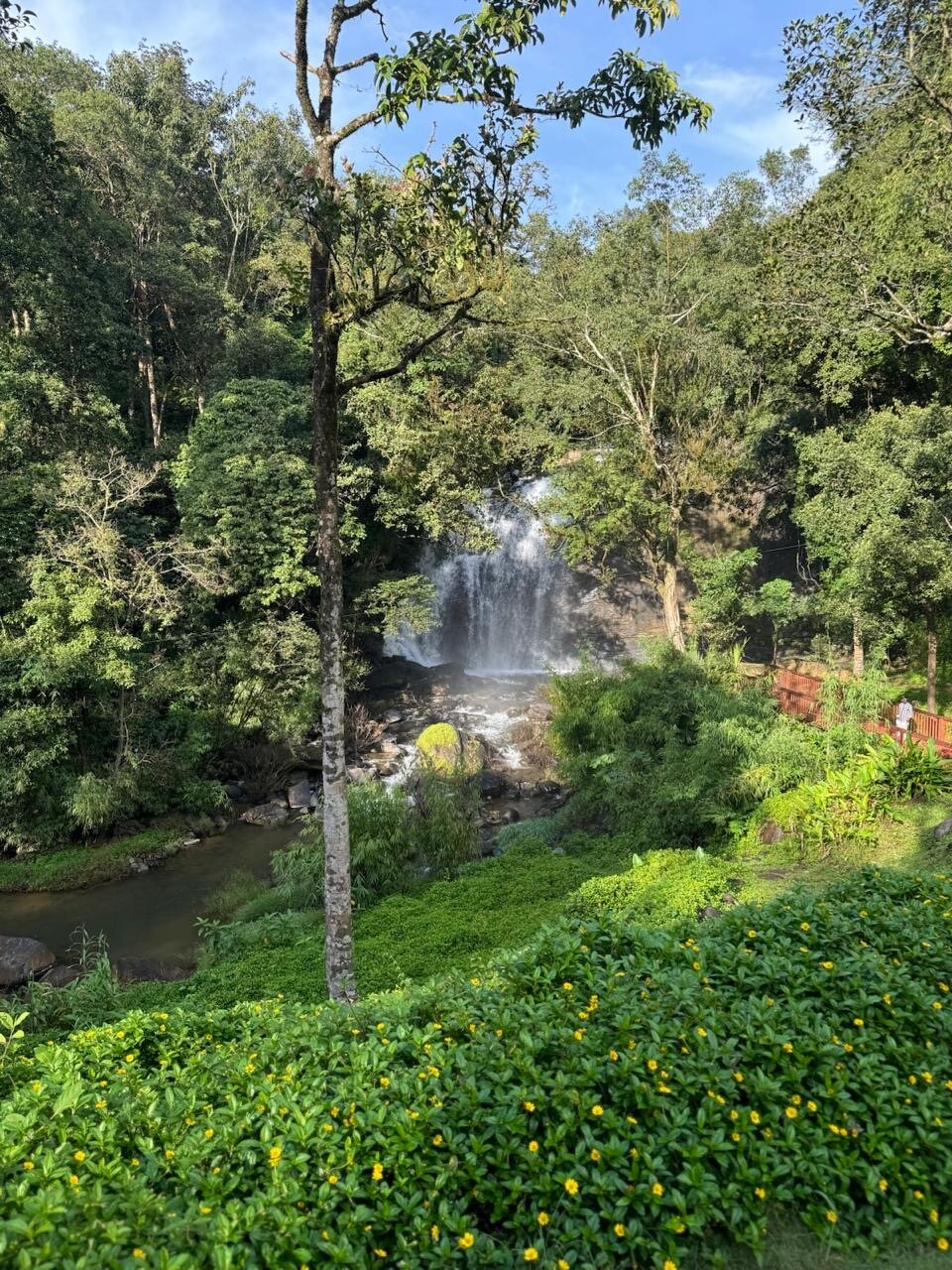 Ayatana Coorg-酒店景观