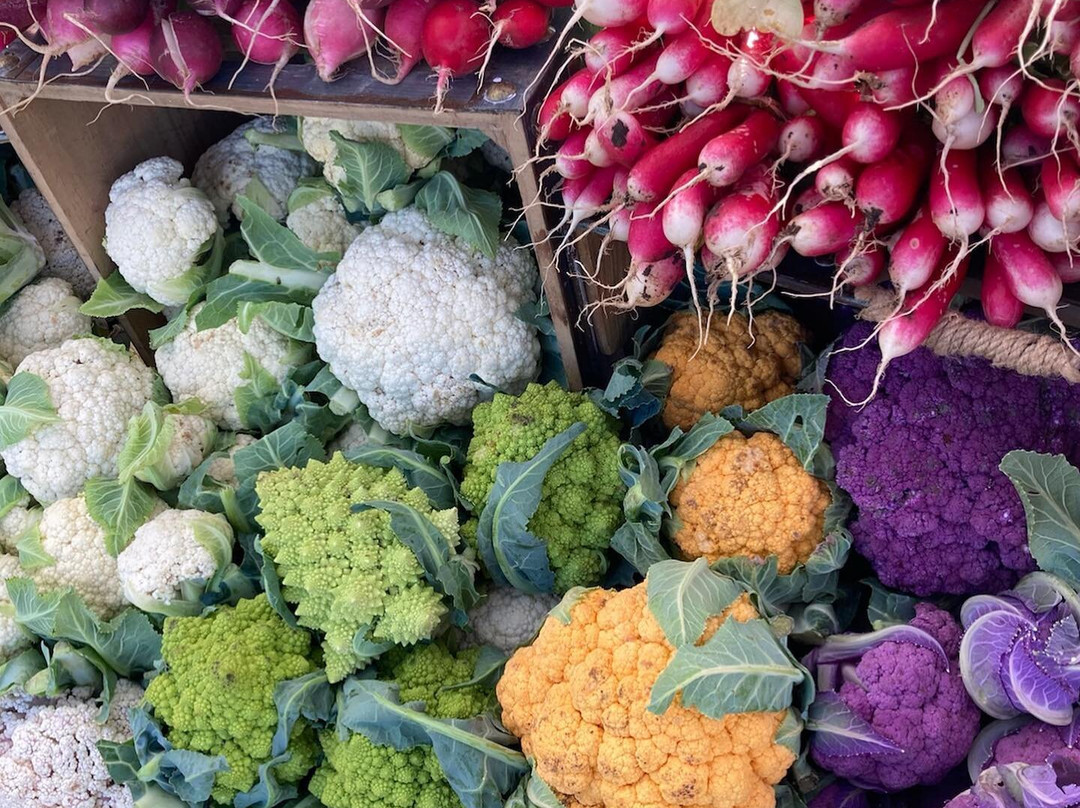 Pedernales Farmers Market-Spicewood必去景点