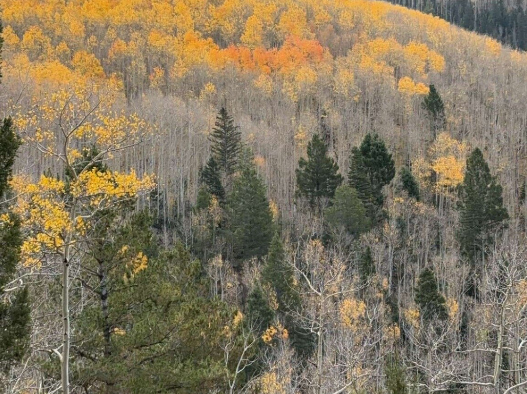 Aspen Vista Trail-圣菲必去景点