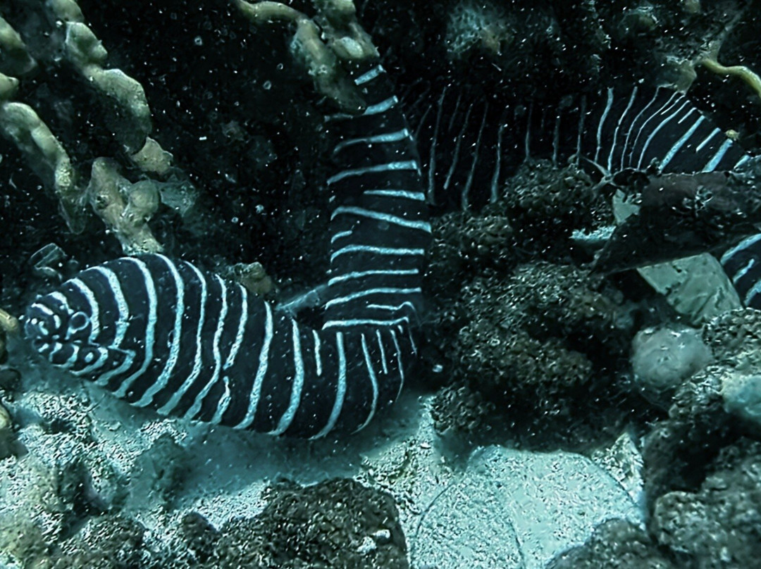 Iboih Dive Centre-Sabang必去景点