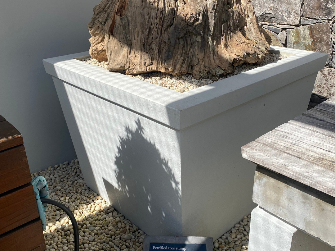 National Bonsai & Penjing Collection-Molonglo Valley必去景点