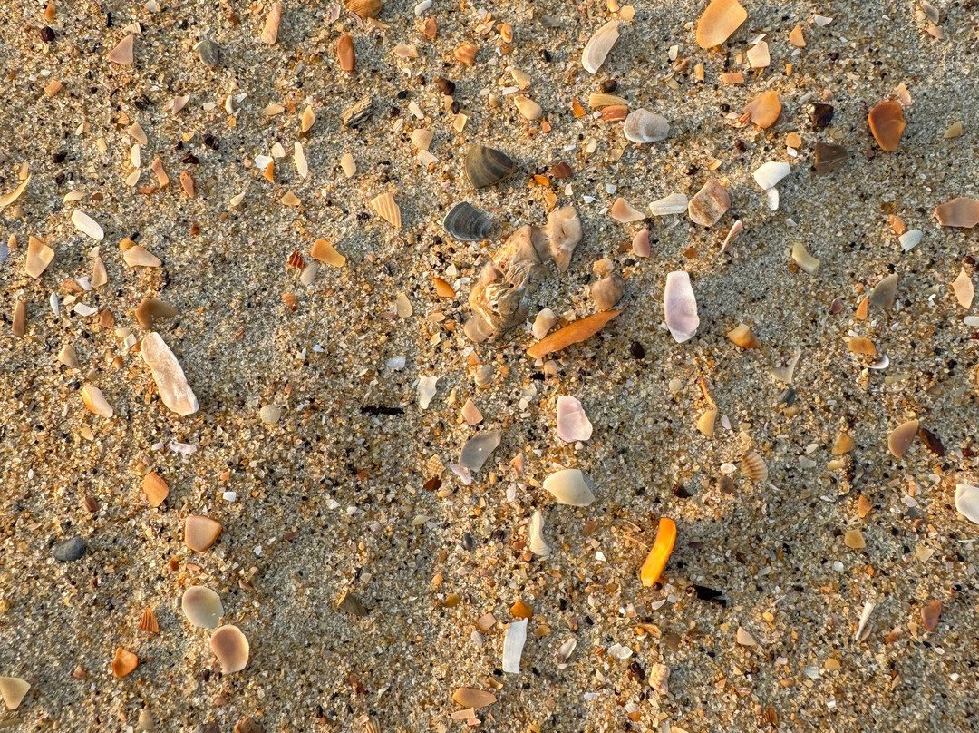 Betul Beach景点图片