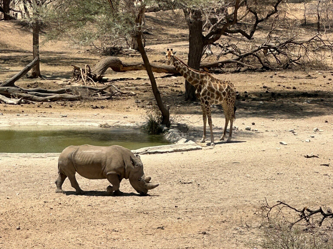 Epako Safari Lodge & Spa主图
