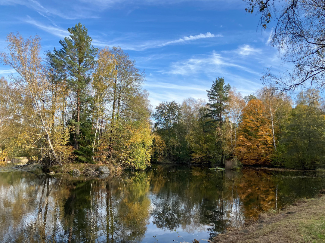 Naturpark Blockheide-Gmuend必去景点