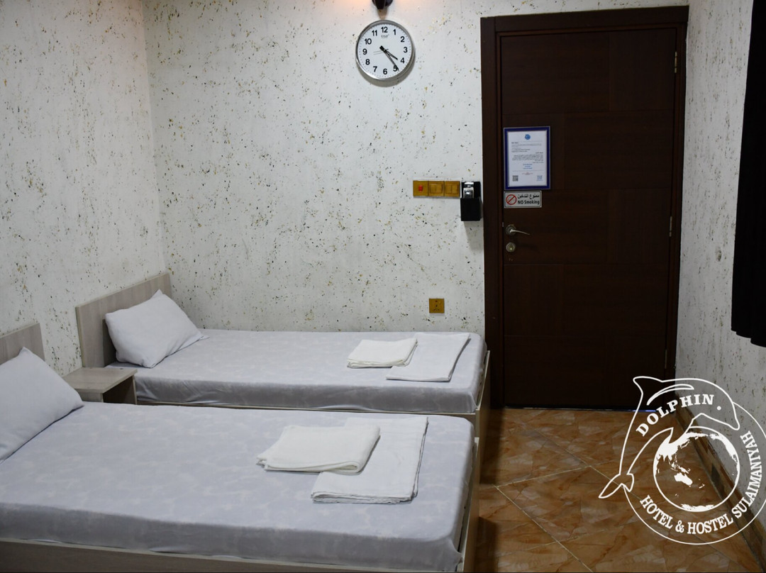 Dolphin Hotel & Hostel主图