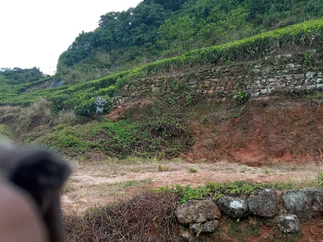 By Foot Adventures Sri Lanka主图