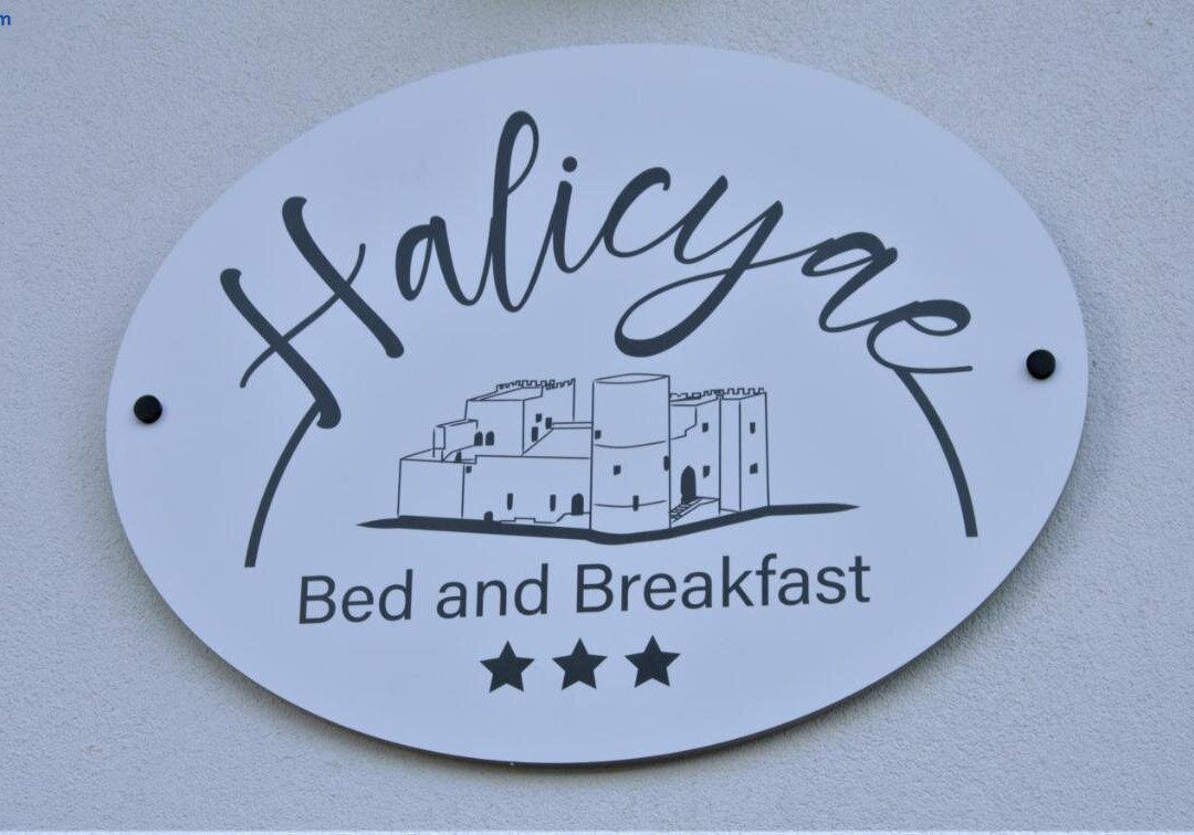 B&B Halicyae
