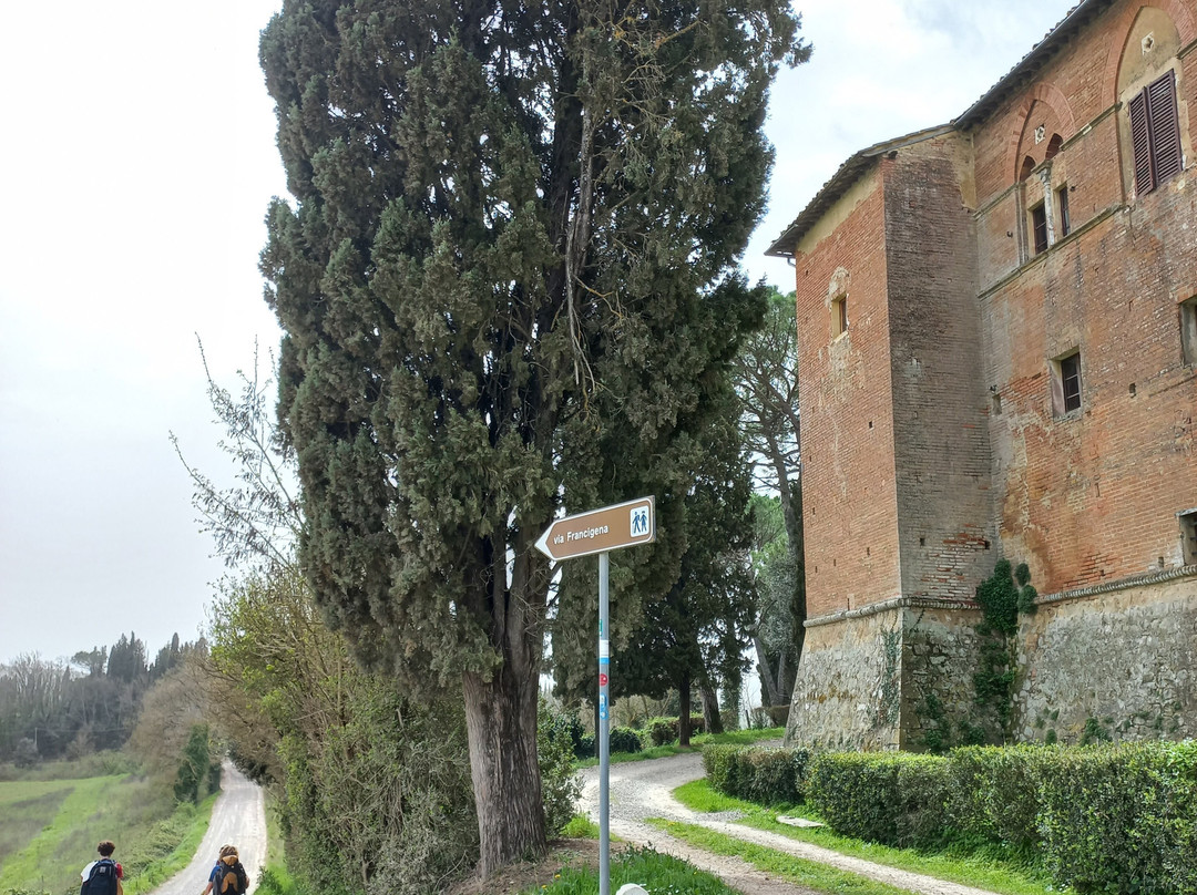 Castello Tricerchi-蒙塔尔奇诺必去景点