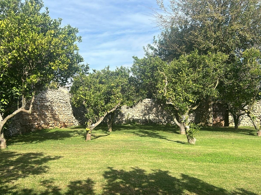 Masseria Trapana主图