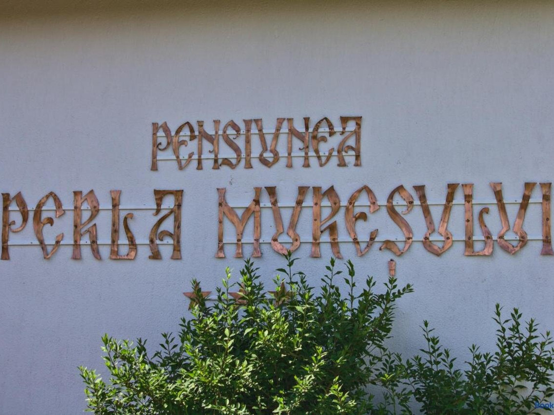 Vintu de Jos酒店住宿-Perla Muresului