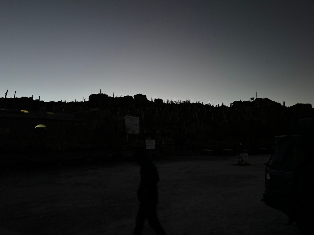 Isla Incahuasi-乌尤尼必去景点