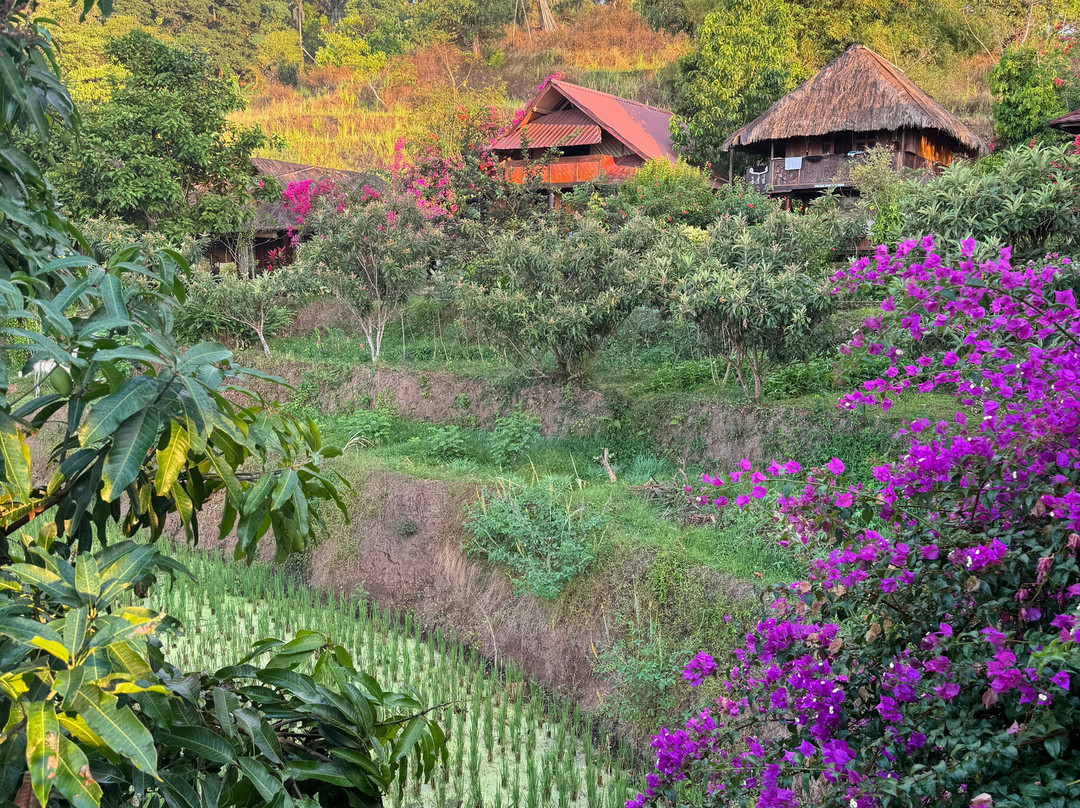 Rinjani Mountain Garden主图