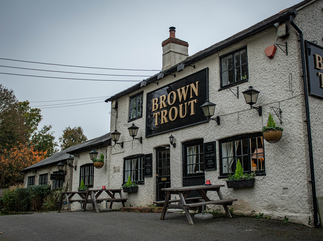 The Bar at the Brown Trout景点图片