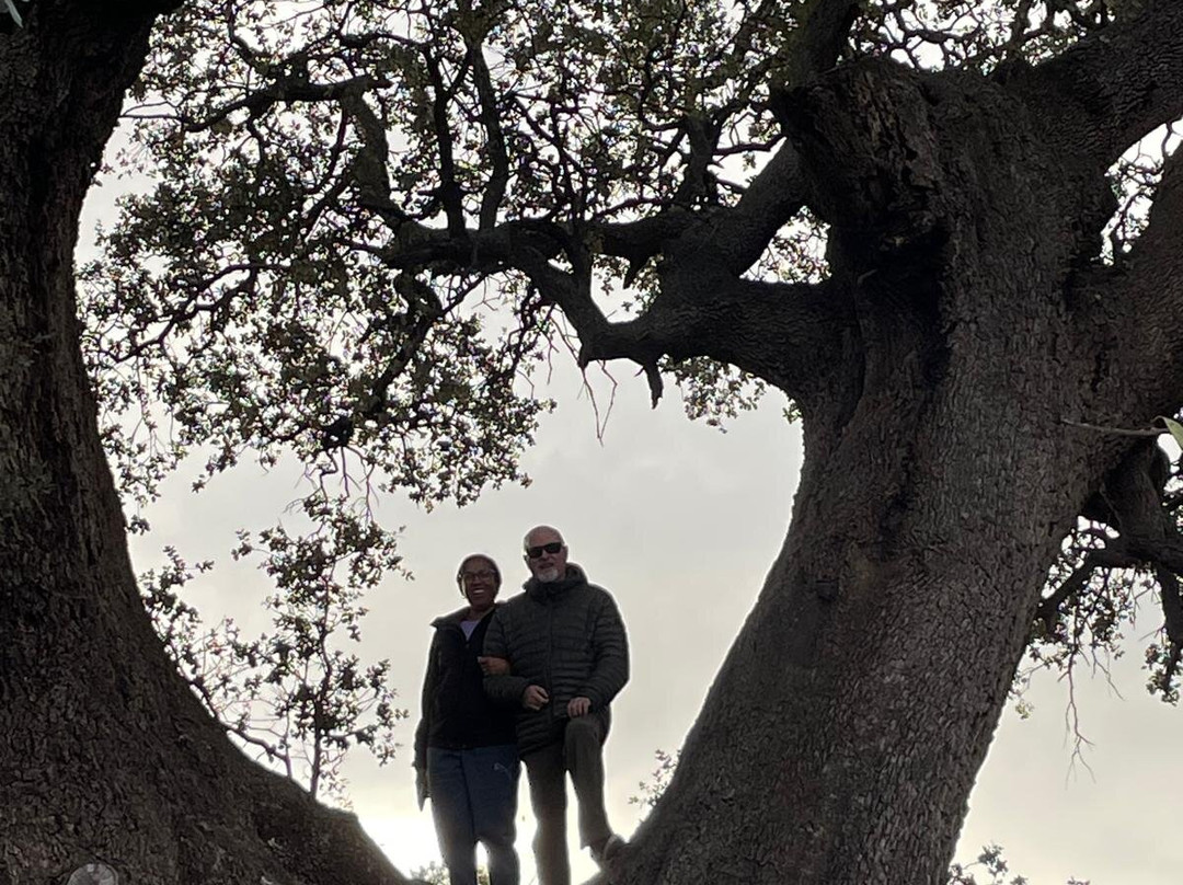 Balneario deTus主图