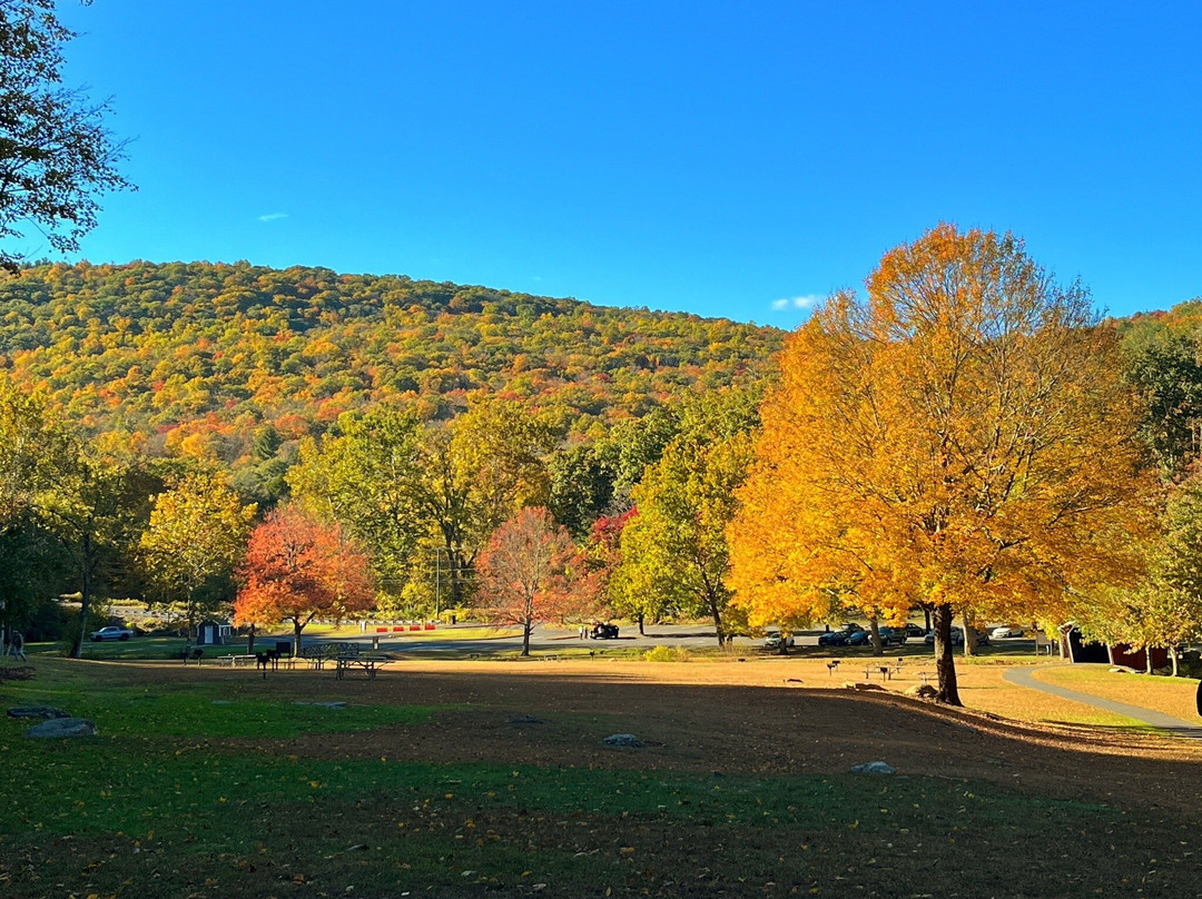 Kent Falls State Park-肯特必去景点