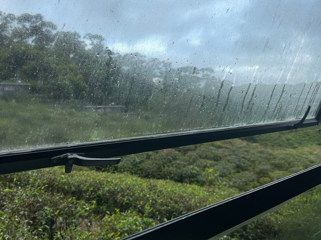 Rainforest Ecolodge主图