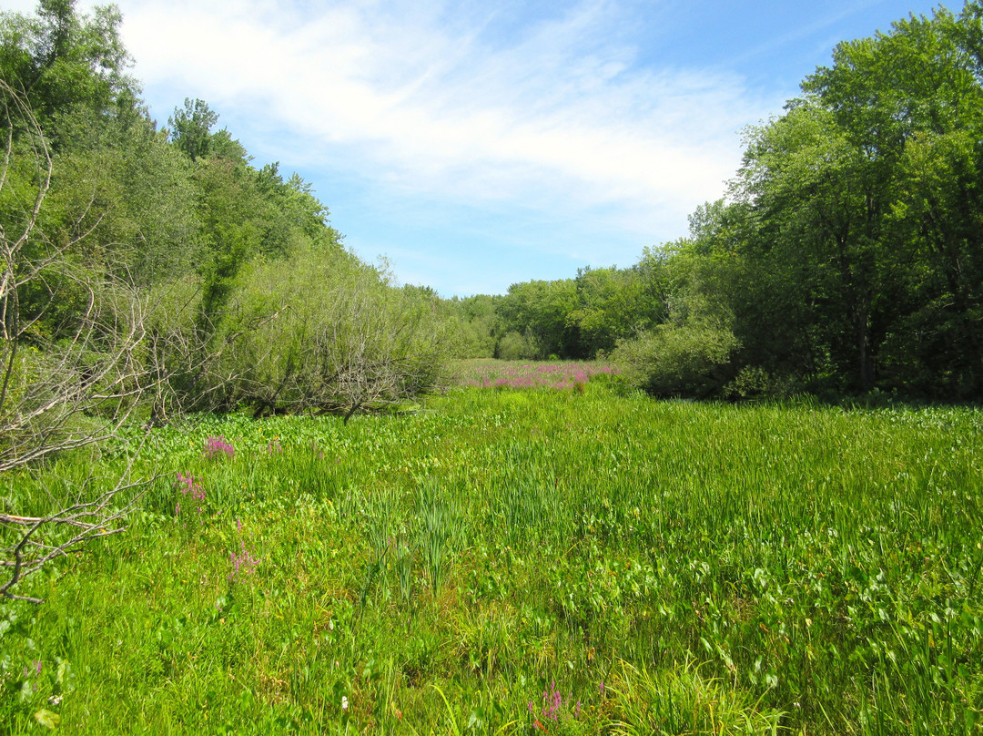 Parc Ecologique de l'Anse-du-Port景点图片