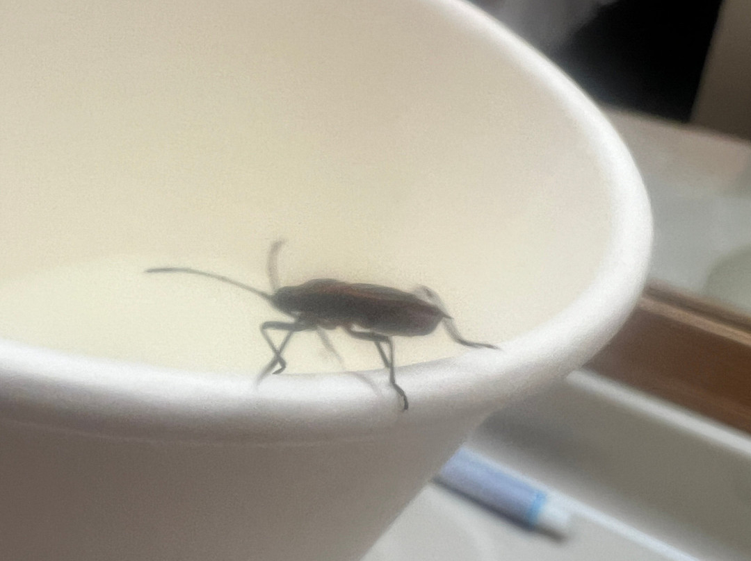 Baymont by Wyndham Logan主图