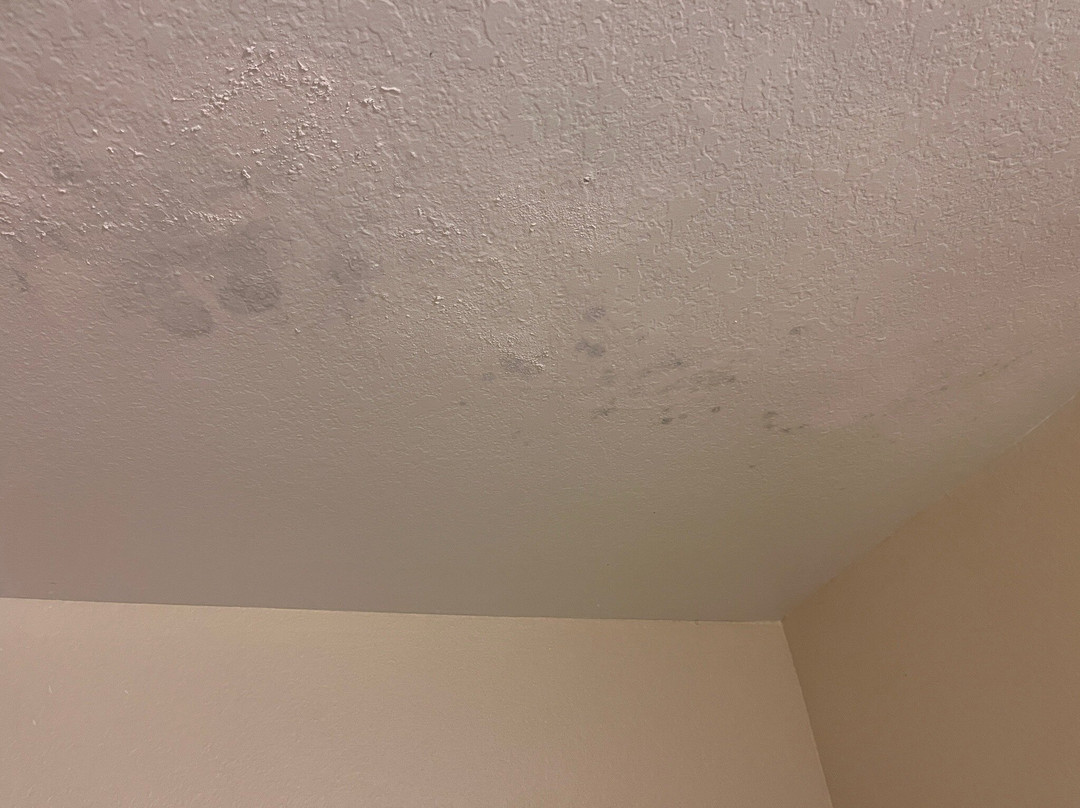 Candlewood Suites Lake Mary by IHG主图