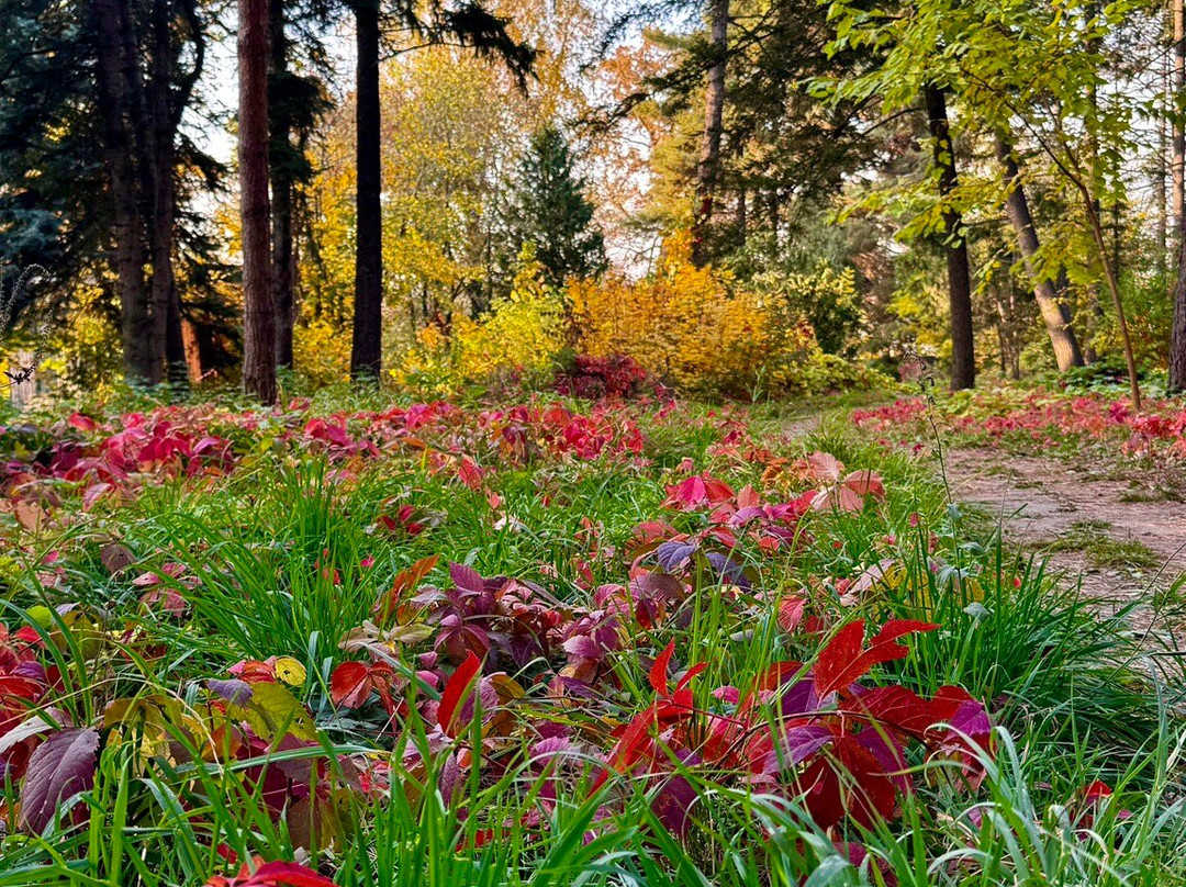 The Botanical Garden-阿拉木图必去景点